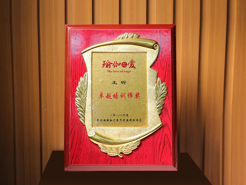 第四届瑜伽之爱年度盛典卓越培训师奖