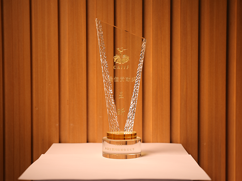 中国东盟国际瑜伽文化节最佳贡献奖