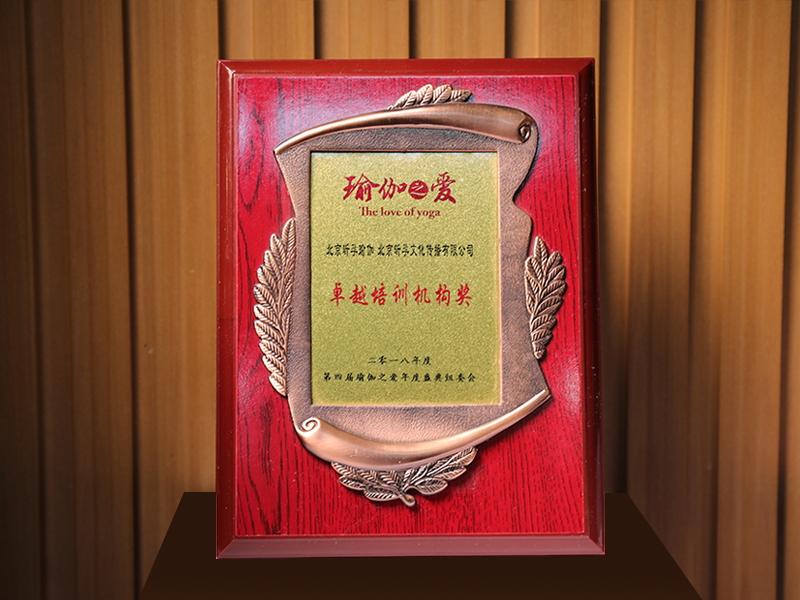 卓越培训机构奖